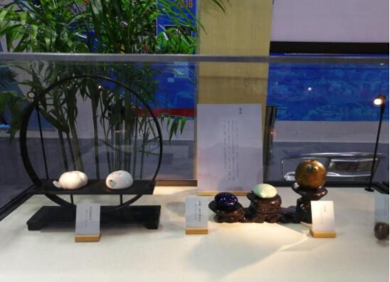 展品陈列 展品陈列